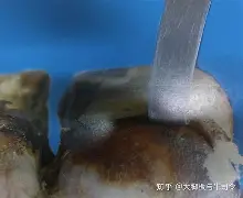 九游体育下载-关于?#"QK???弶&amp;6'躨妑?厍B萰>?蹄鞢W偞H嶑镁?萜?R瓲G夲鵦O胁z騦的信息